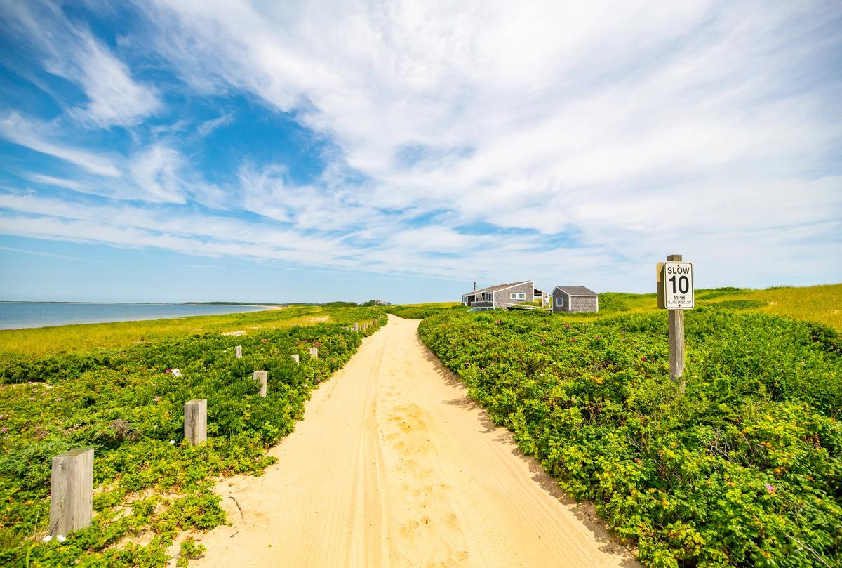 Walk, bike, or drive the path out to Great Point to see beautiful beach homes and Nantucket wildlife