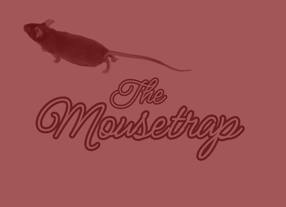 The Mousetrap Play - Great Point Properties, Nantucket