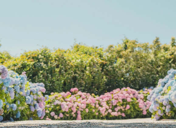 Dance Festival  - Great Point Properties, Nantucket