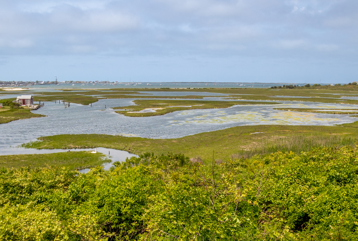 View the creeks from Nantucket Land Bank's Creeks Preserve