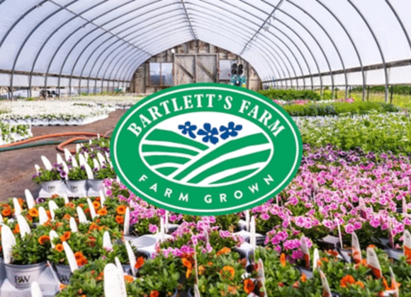 Bartlett's Farm Walking Tour - Great Point Properties, Nantucket