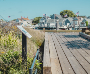 Stroll the historic cobblestone streets and stop by the new Easy Street Park for beautiful harbor views. 