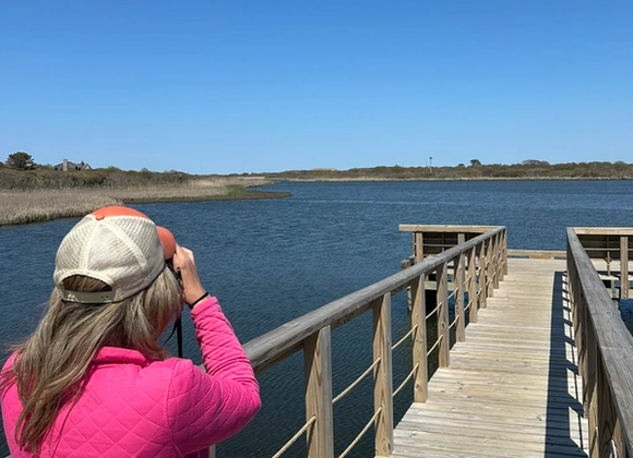 LLNF Birding Field Trip - Great Point Properties, Nantucket