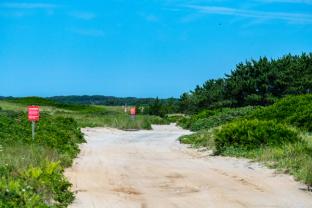 Deflate your tires and drive out to Great Point, home to Great Point Lighthouse and some incredible wildlife. 