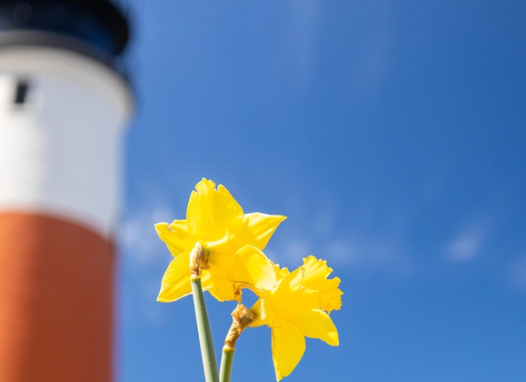 10 Reasons Why You Should Visit Nantucket This Spring - Great Point Properties, Nantucket