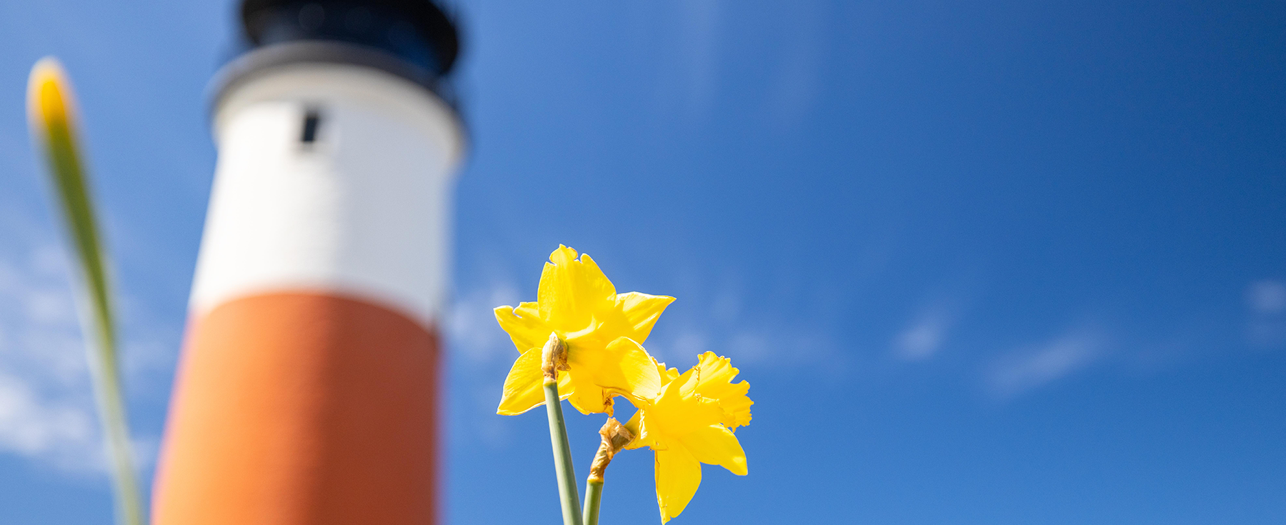 10 Reasons Why You Should Visit Nantucket This Spring