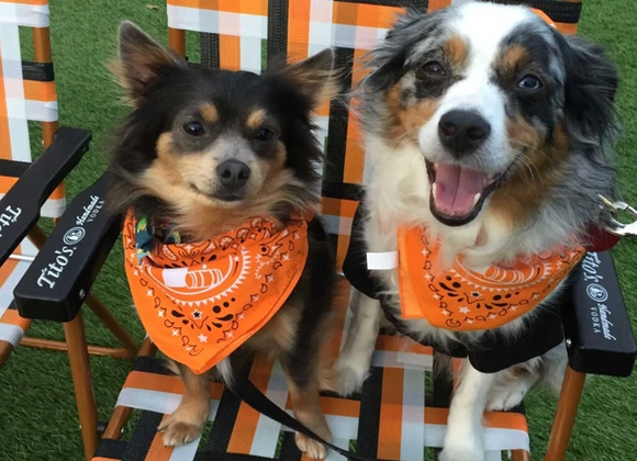 Tito's Yappy Hour at Wine & Food Fest - Great Point Properties, Nantucket