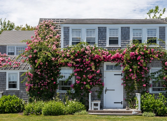 Effortless Coastal Design for Island Living - Great Point Properties, Nantucket
