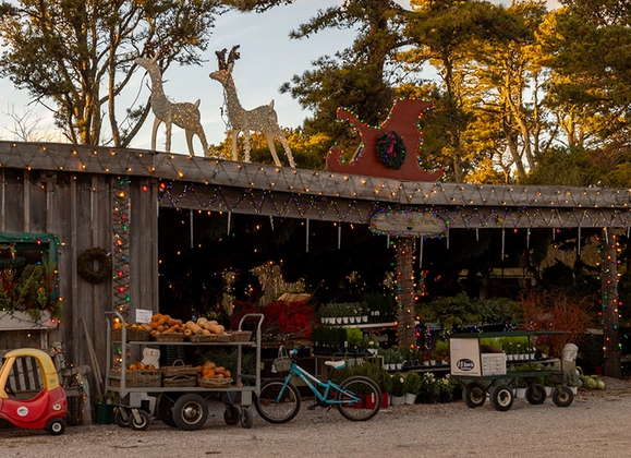 When Is The Best Time To Visit Nantucket? - Great Point Properties, Nantucket