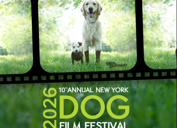 10th Annual Dog Film Festival at the Dreamland - Great Point Properties, Nantucket