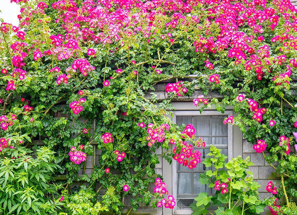 10 Nantucket Hidden Gems To Visit This Year - Great Point Properties, Nantucket