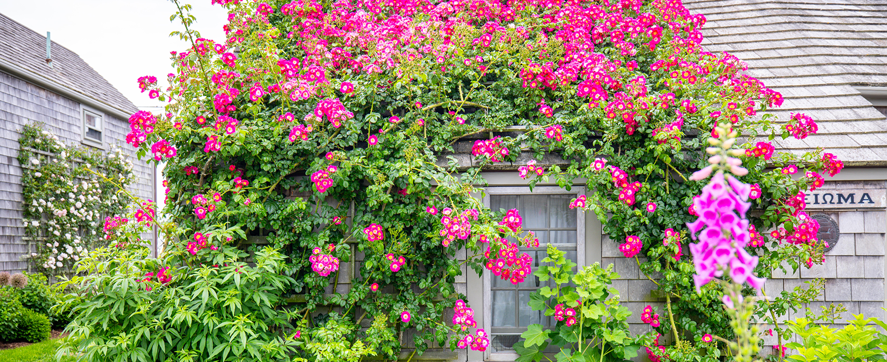 10 Nantucket Hidden Gems To Visit This Year