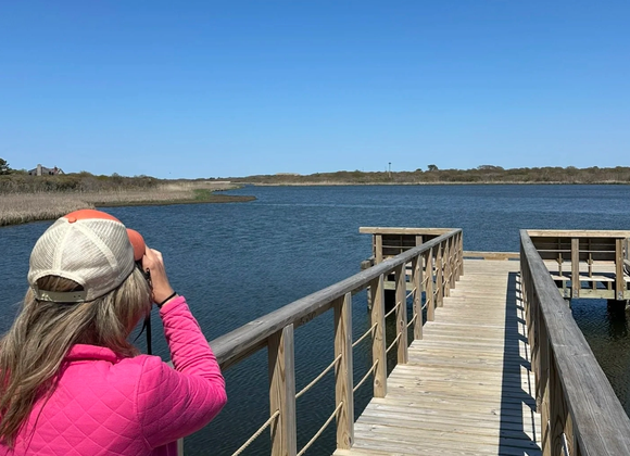 LLNF Birding Field Trip - Great Point Properties, Nantucket