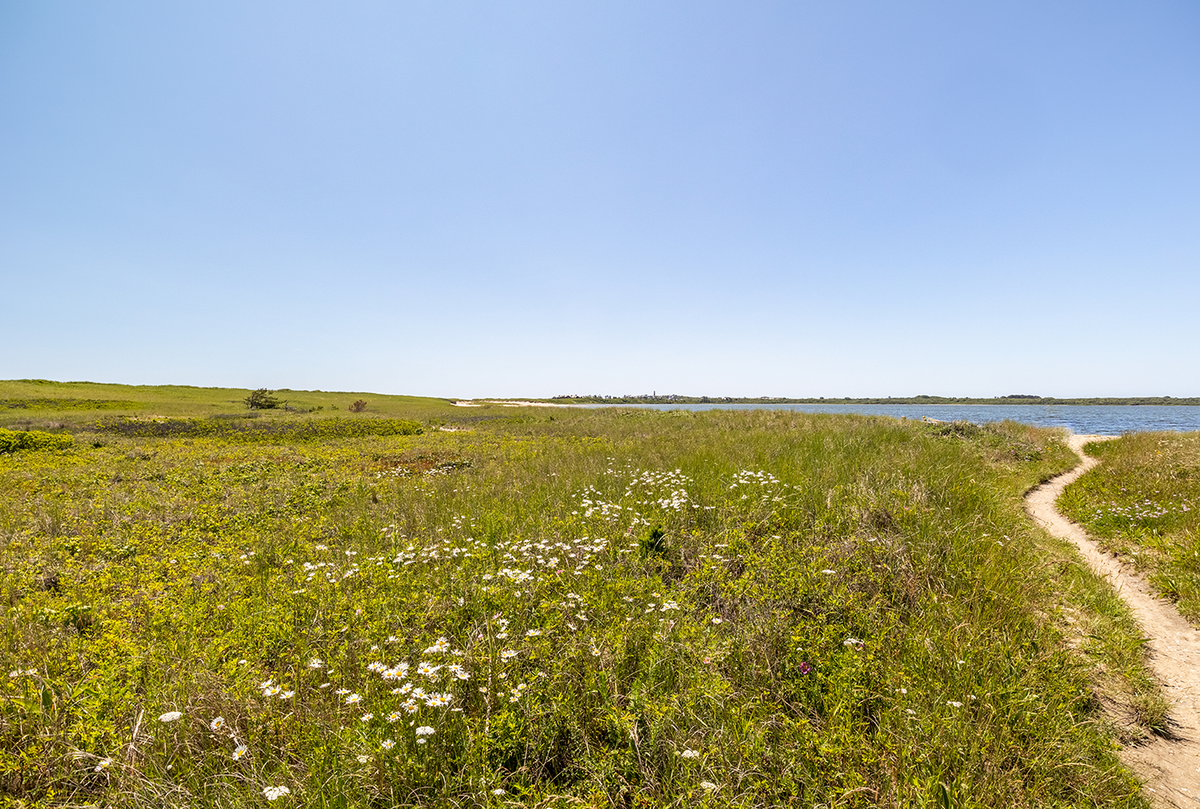 Enjoy the tranquil views overlooking Sesachacha Pond and Quidnet Beach 