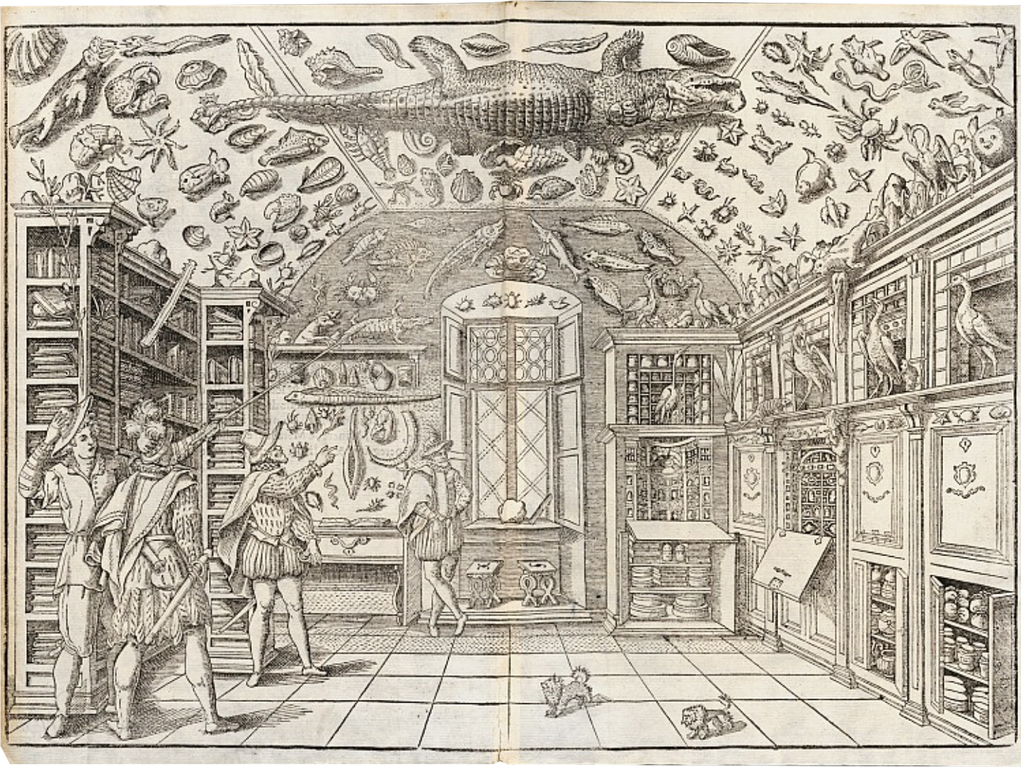 Cabinet of Curiosities
