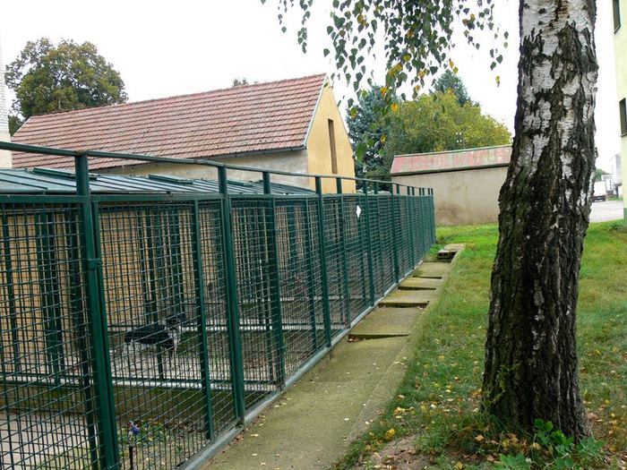 Psí hotel v zeleni