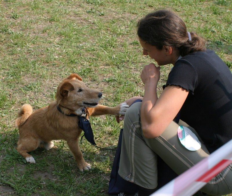 Voříškiáda 2009