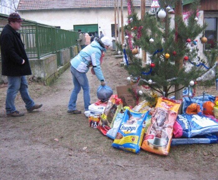 Dárky pod stromečkem, Vánoce 2007