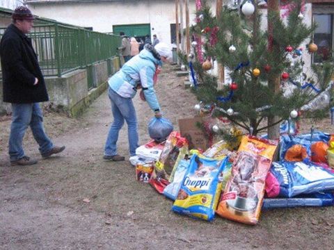 Dárky pod stromečkem, Vánoce 2007