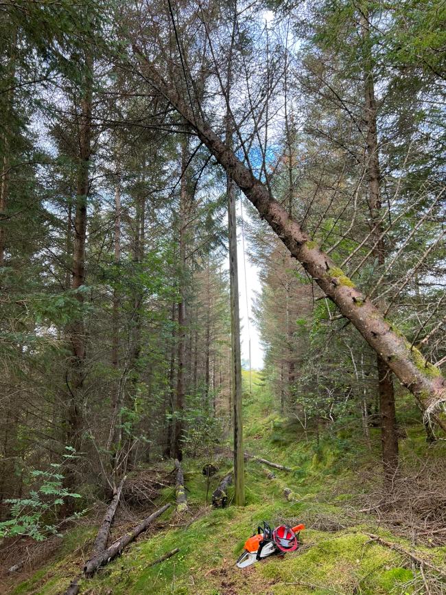 Trefall på linjenettet til Linea