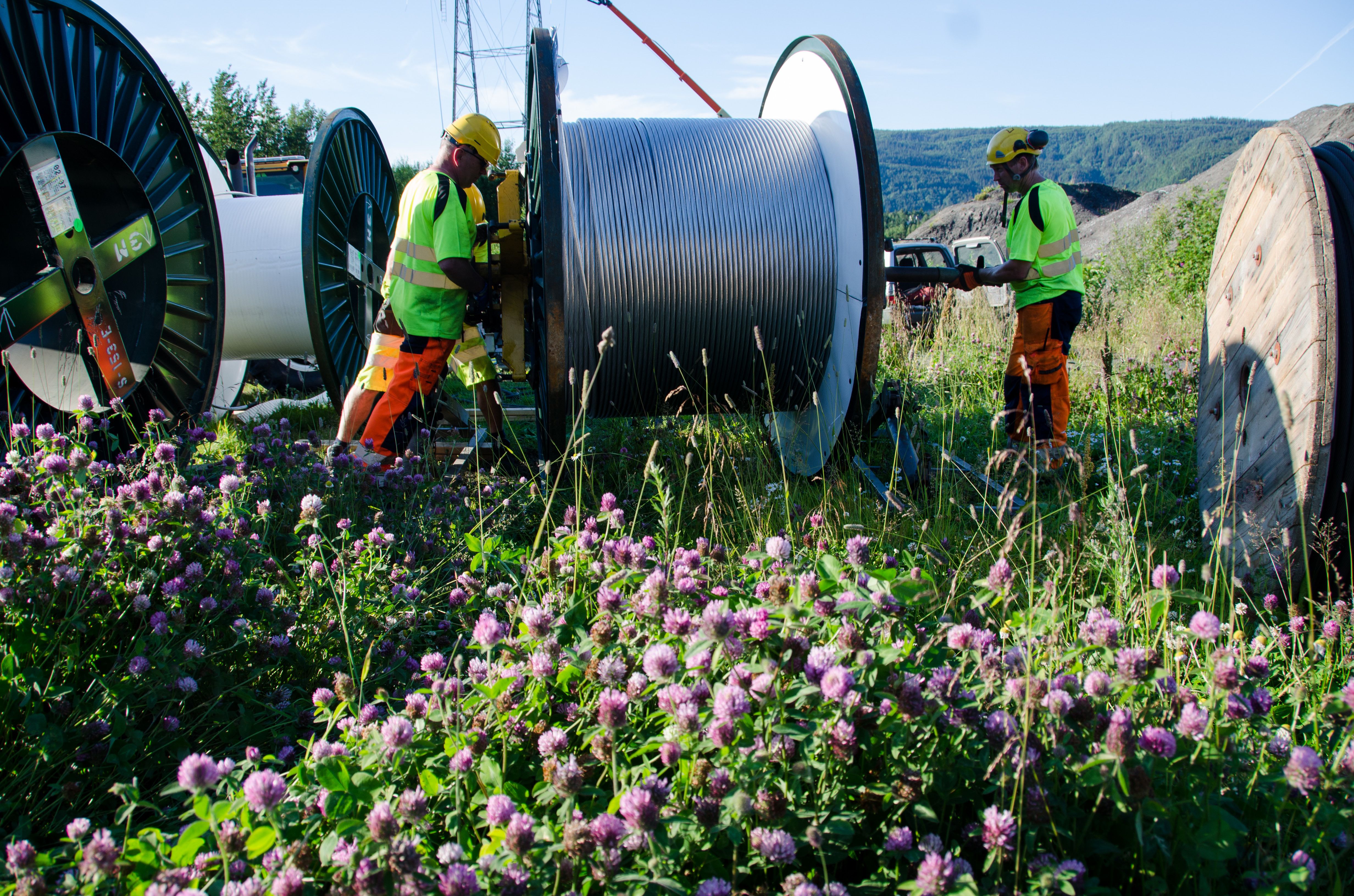Montører som trekker kabel ute i fint sommervær.