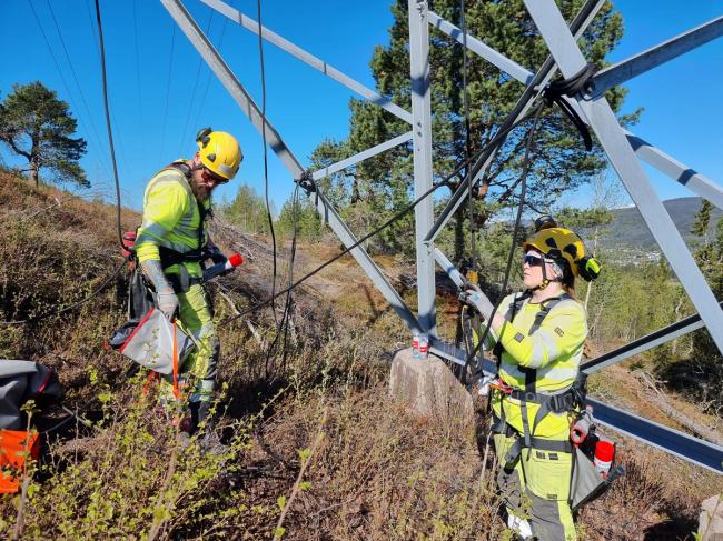 En viktig del av nettleien er å drifte det store strømnettet som Linea har ansvaret for på Helgeland