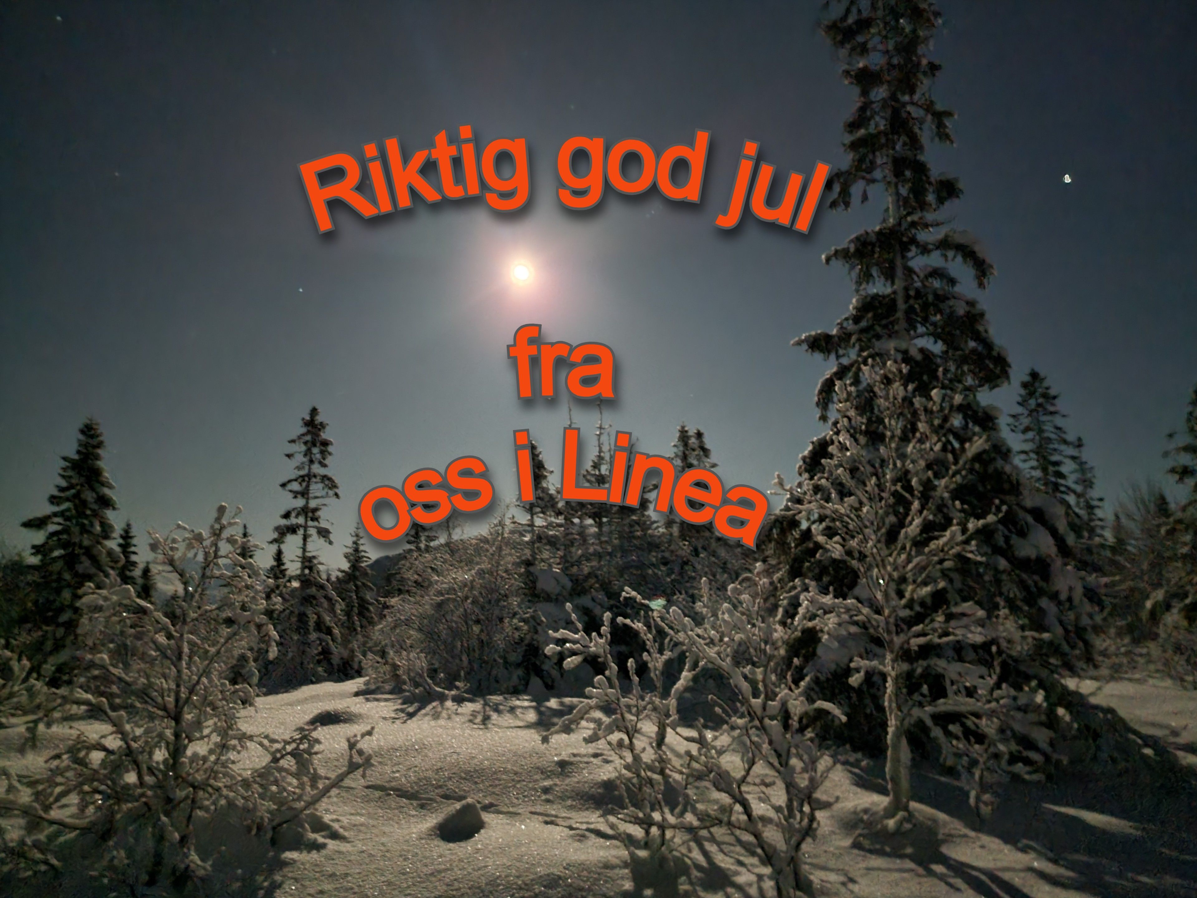 God jul fra Linea