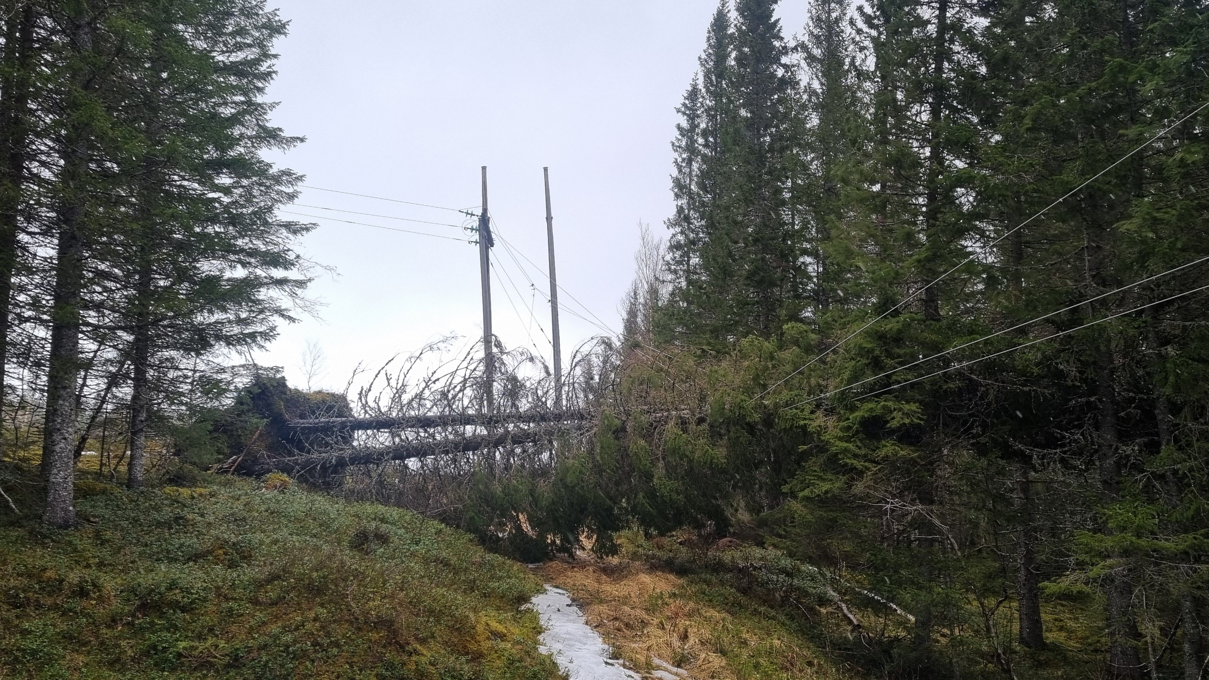 Sterke vindkast forårsaker mange strømbrudd på Helgeland