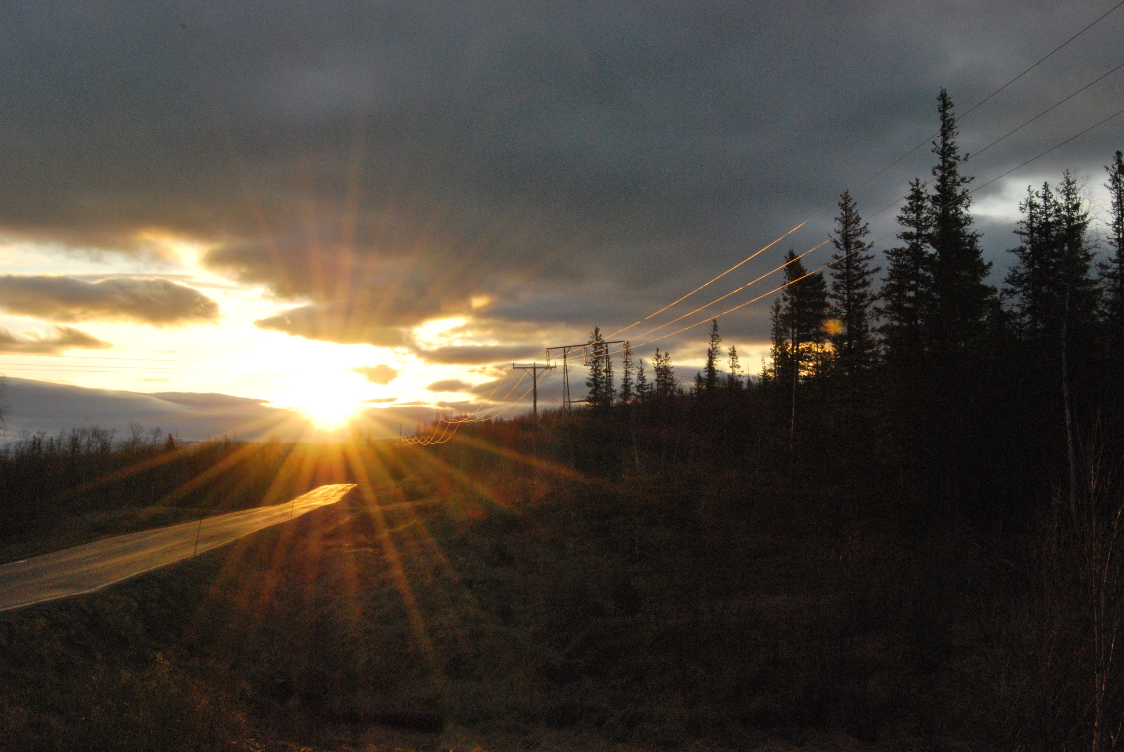 Linjer i skogen , med solnedgang.