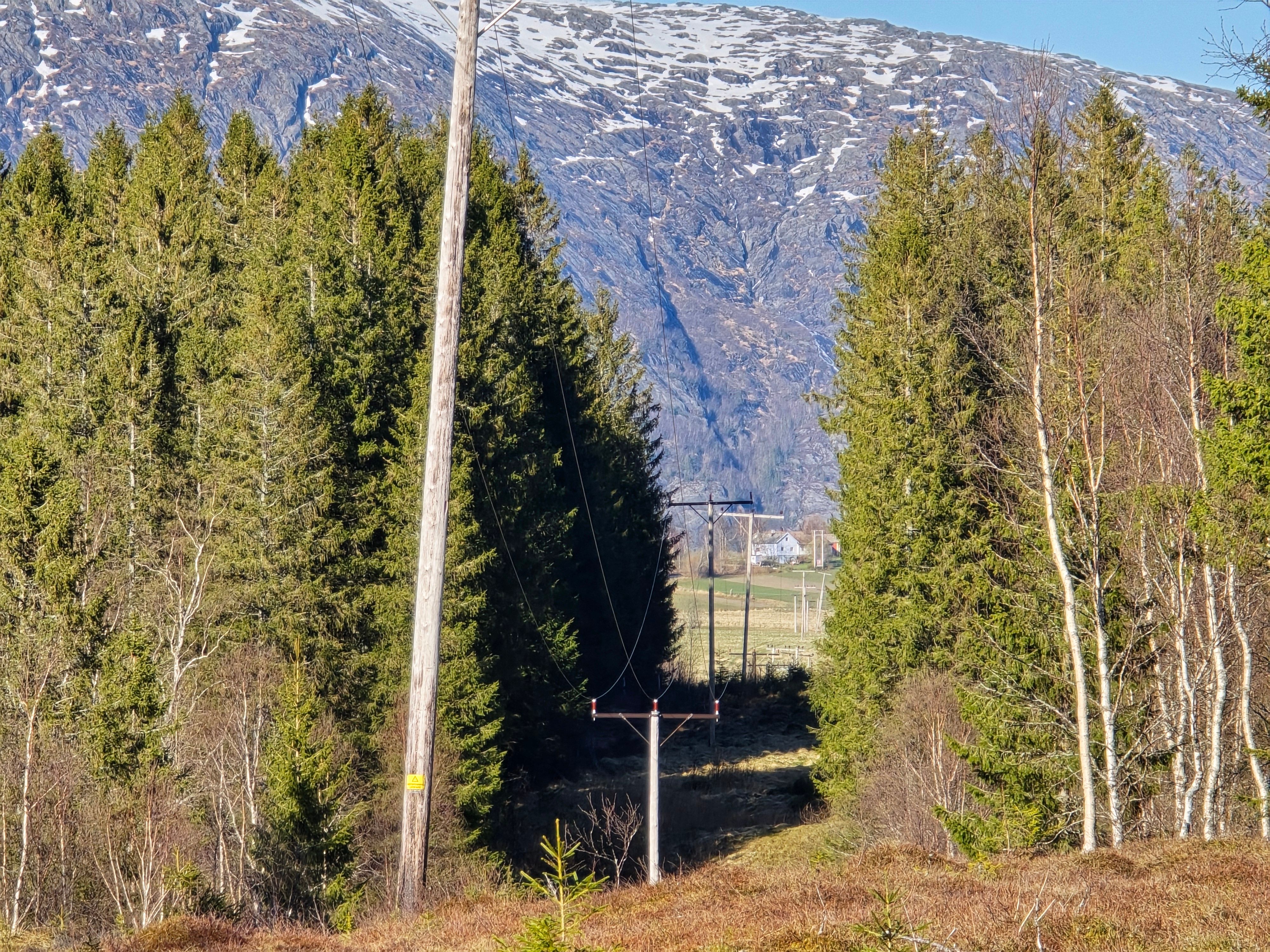 Trær blir høyere og dagens ryddegater blir for små