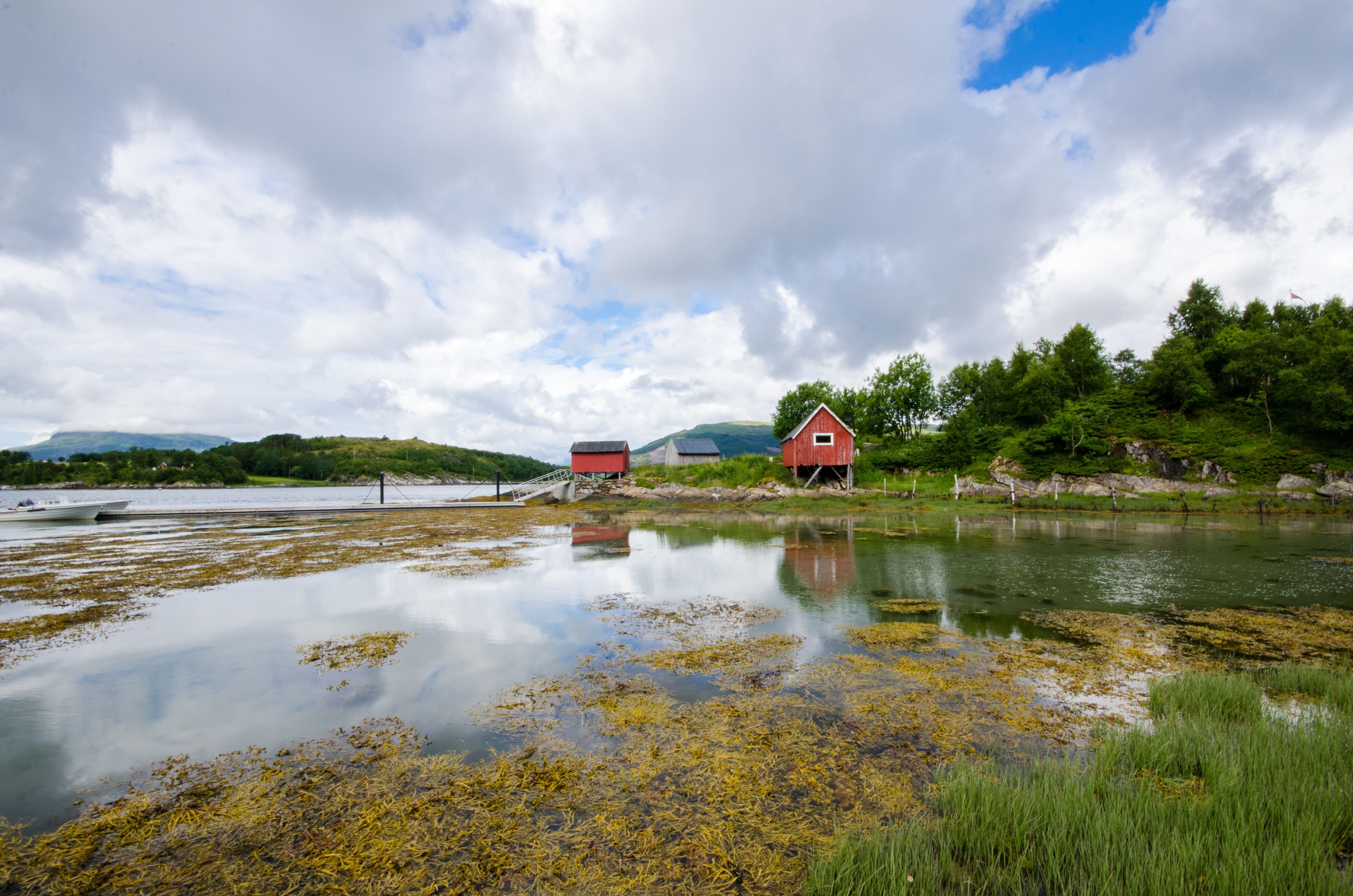 Naturbilde av hav, skog og flytebrygge.