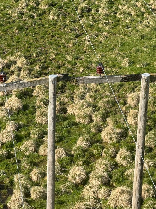 Feil på 22kV Dønna oppdaget under helikopterbefaring