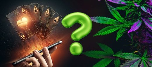 Kiffen und Spielen: Doppelstandards in Deutschlands Suchtpolitik