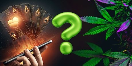 Kiffen und Spielen: Doppelstandards in Deutschlands Suchtpolitik