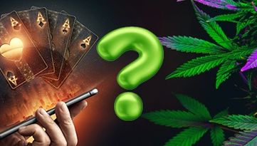 Kiffen und Spielen: Doppelstandards in Deutschlands Suchtpolitik