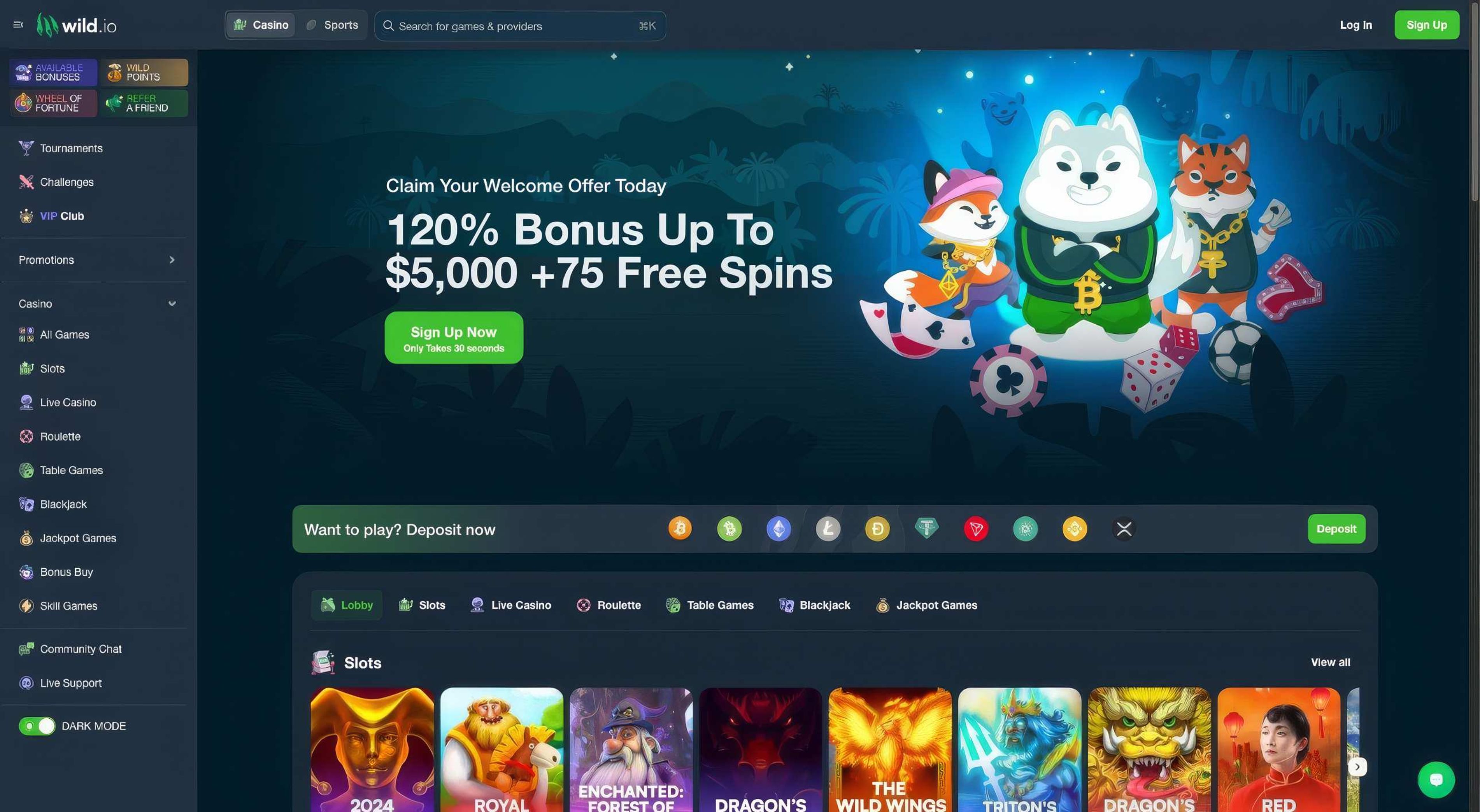 Wild.Io Casino desktop screenshot 1