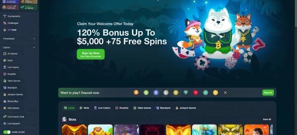 Wild.io Casino
