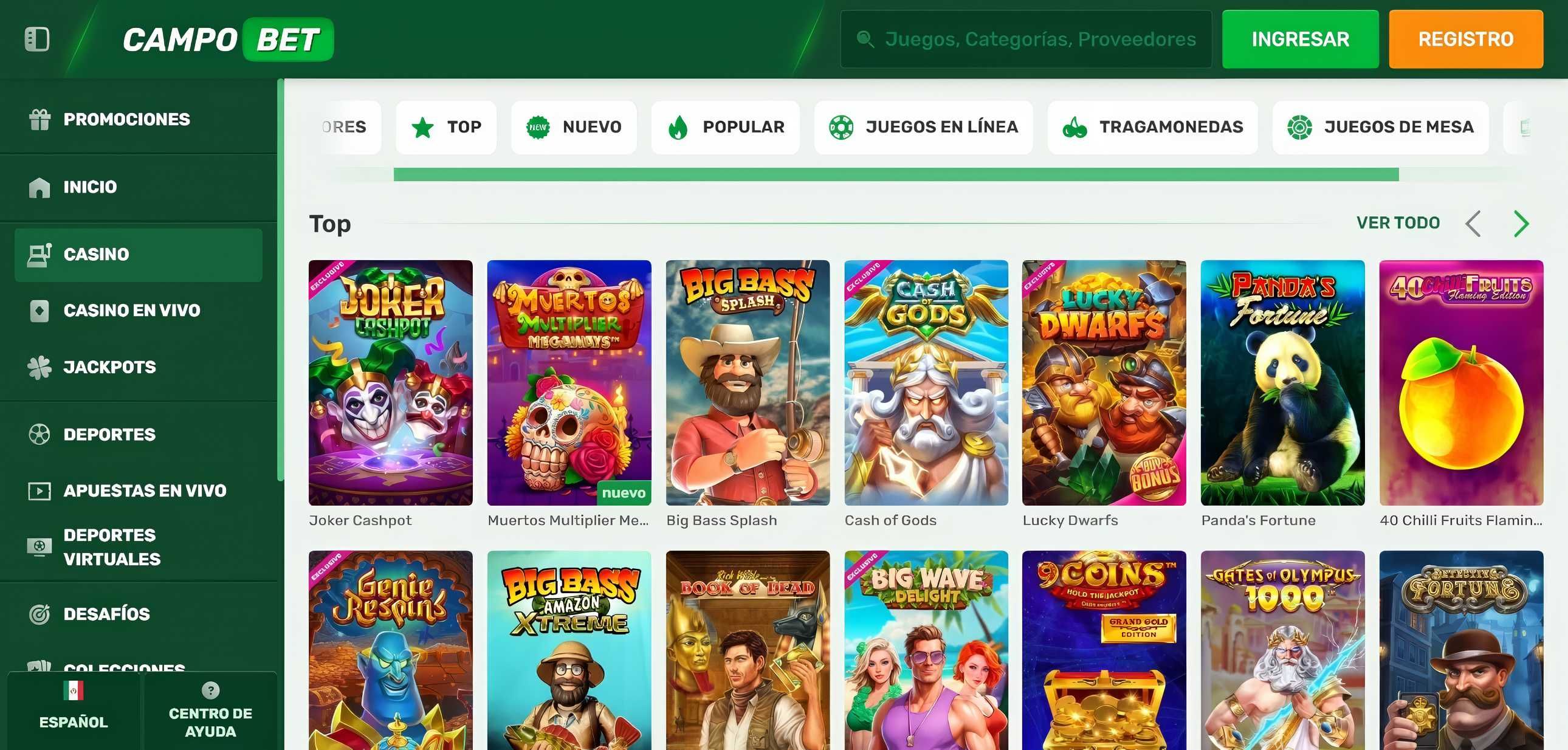 CampoBet desktop screenshot 1