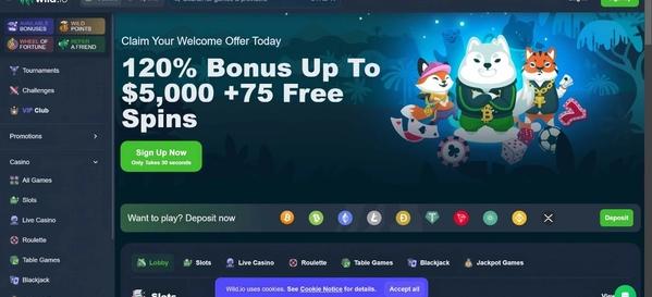 Wild.io Home Desktop 