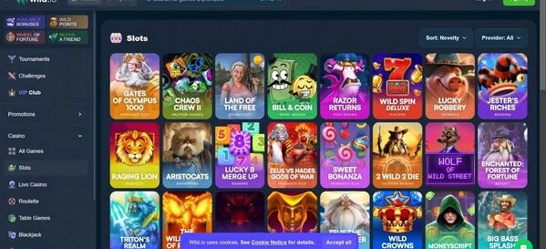 Wild.io Desktop Slots 