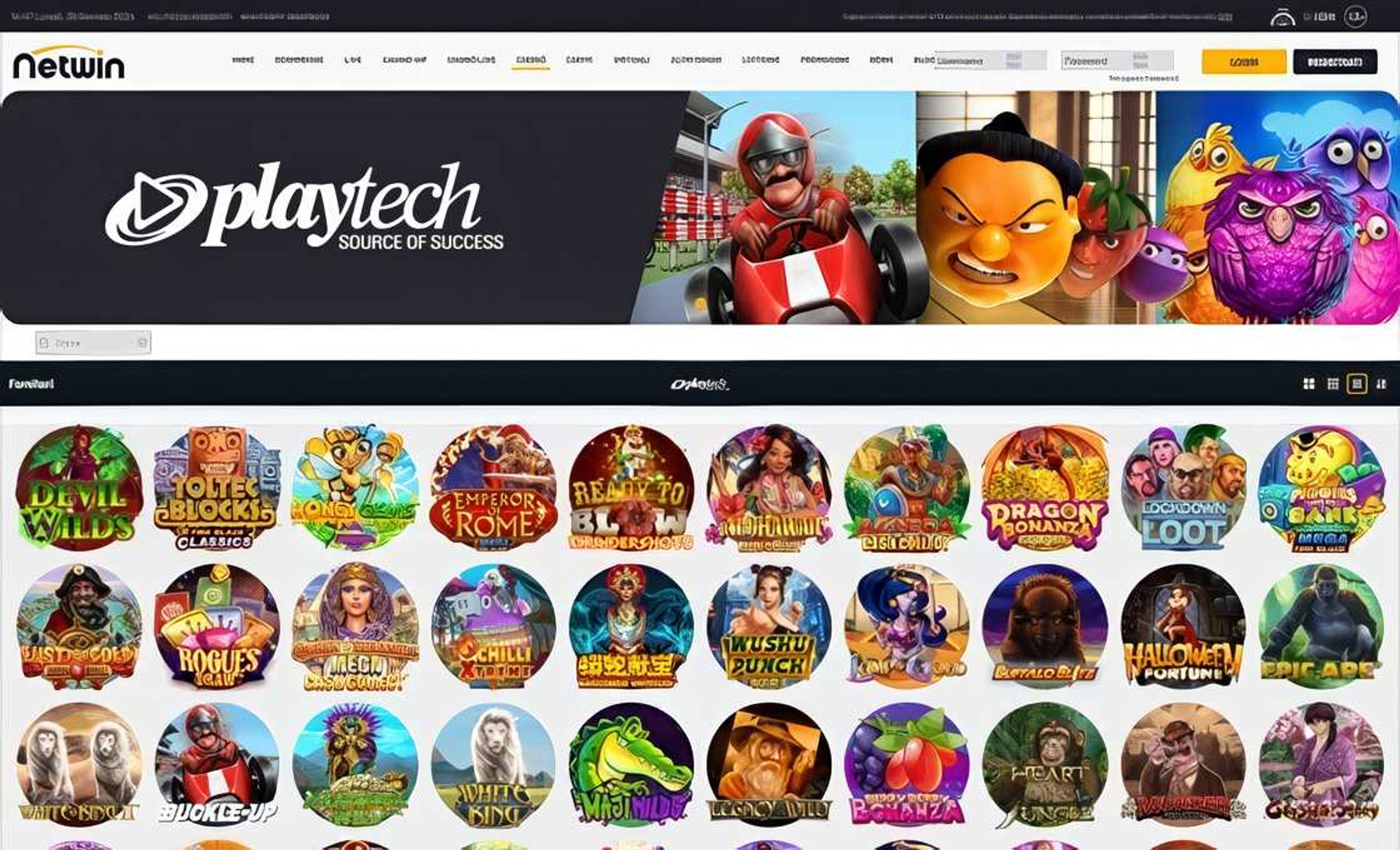 Netwin desktop screenshot 1