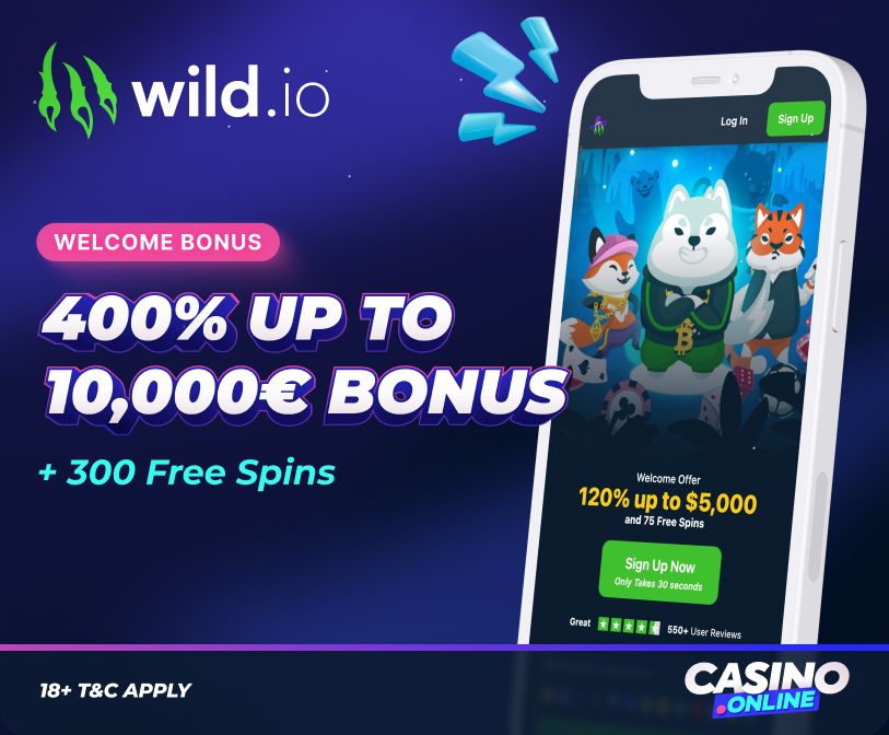 Wild.io casino welcome offer