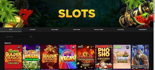 Wild Casino Slots