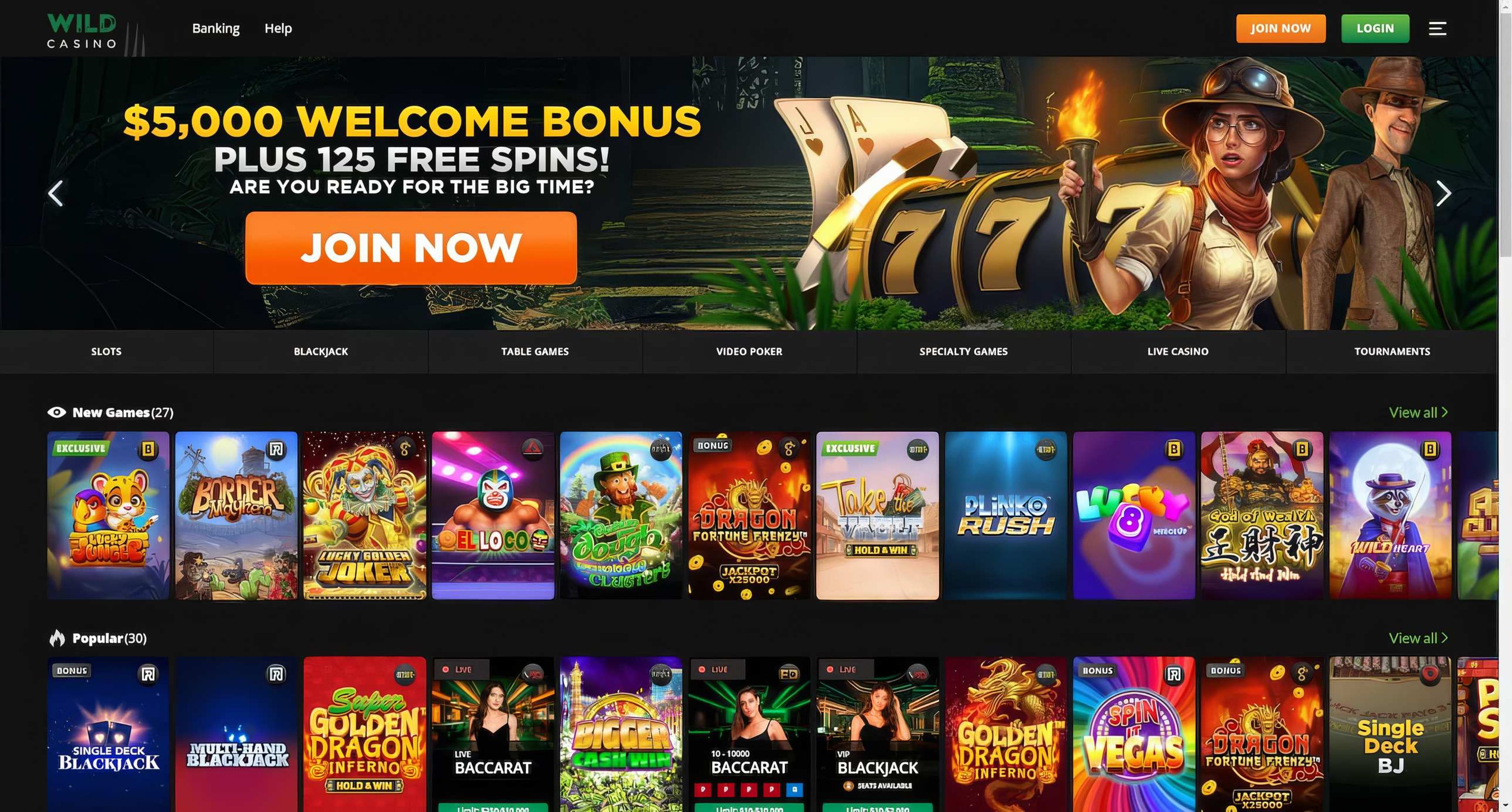 Wild Casino desktop screenshot 1