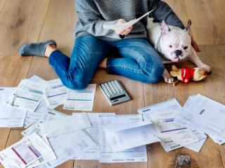 A student and a dog counting bills on the floor.