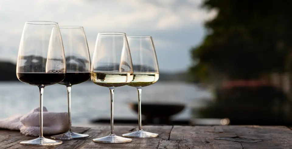 red vs white wine glasses