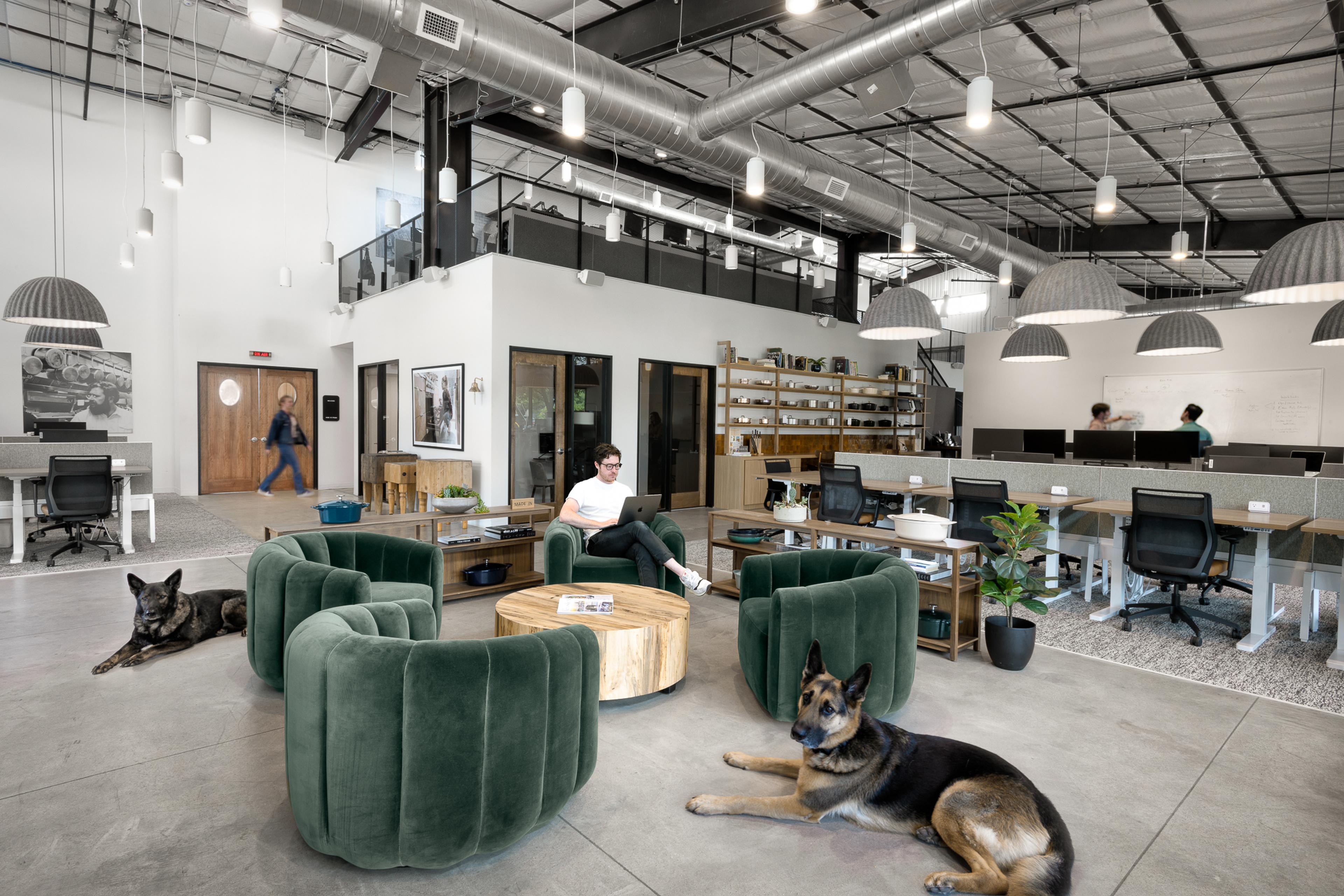 A modern office space features green velvet seating, a wooden coffee table, two dogs lounging on the floor, and people working at desks in the background.