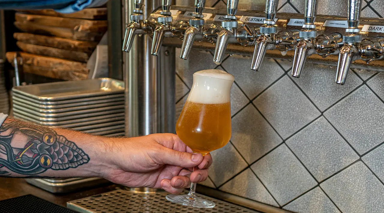 A tattooed arm is holding a freshly poured glass of beer with an excessive foamy head near beer taps.