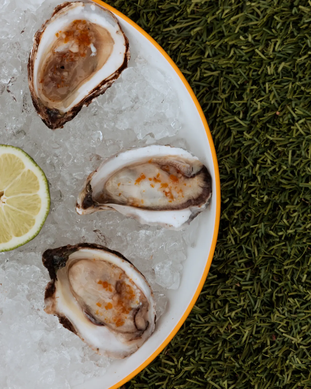 Fresh oysters on a bed of ice accompanied by a wedge of lime are presented on a plate resting on a grassy surface.