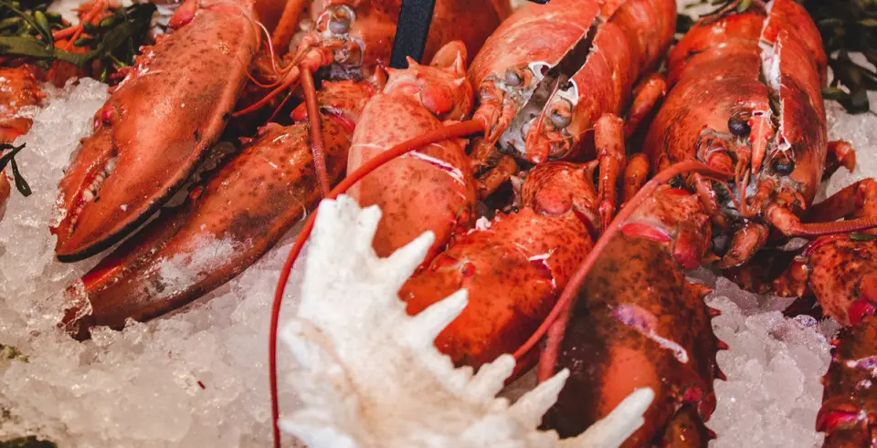 how to cook lobster